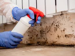 Environmental Consulting for Mold Prevention in South Elgin, IL